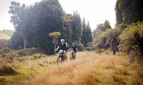2026-Volcanic-Epic-MTB-Stage-Race-bush-550x330px