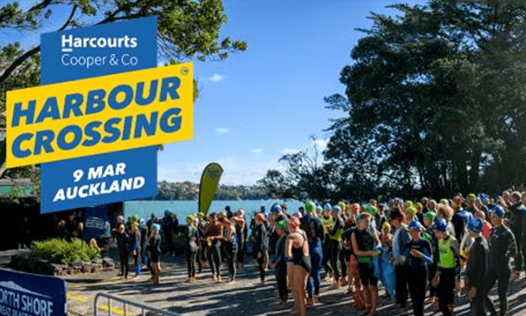 Harcourts Cooper and Co Harbour Crossing Auckland 2024