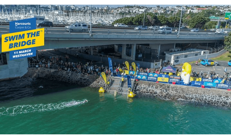 Harcourts Cooper and Co Swim the Bridge Auckland 2023