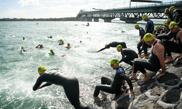 Harcourts Cooper and Co Swim the Bridge Auckland