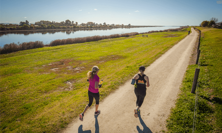 New Zealand Sotheby's International Realty Hawke's Bay Marathon Run