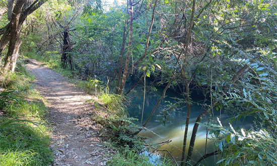 Henderson-Shuffle-Creek-550x330px