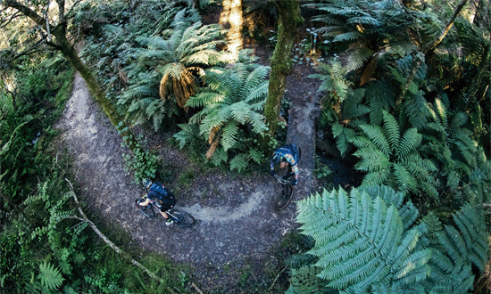 Highlander-Mountain-Bike-Challenge-Rotorua-aerial-image-riders-forest