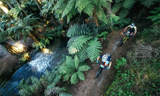 Highlander-Mountain-Bike-Challenge-Rotorua-aerial-image-riders-stream