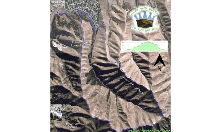 King & Queen of the Withers Fun Run Marlborough 2020 elevation map