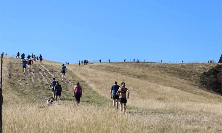King & Queen of the Withers Fun Run Marlborough 2020 hill climb