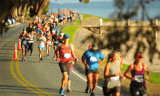 Maraetai-Half-Marathon-Run-Auckland-550x330px