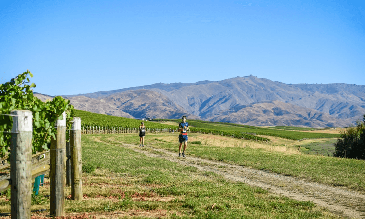McArthur Ridge Vineyard Run the Ridge Trail Run Otago 2020 blue skies