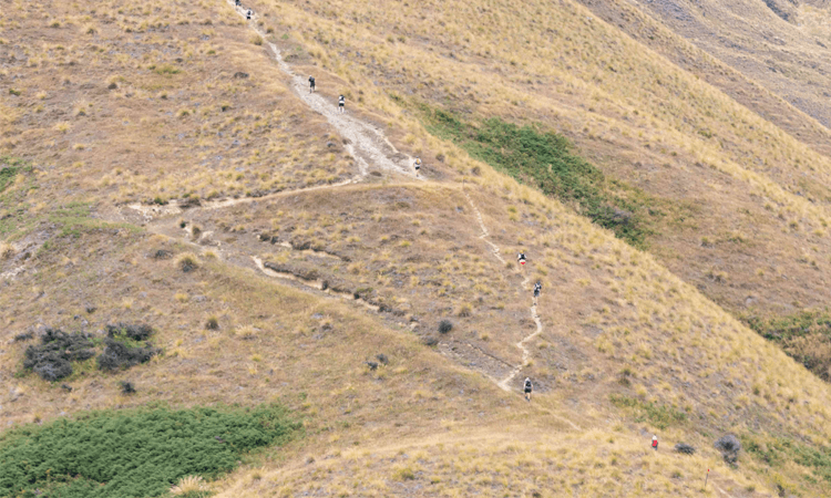 Motatapu Ultra Run Otago 2024 steep trail