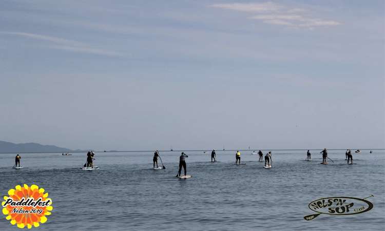 Nelson Paddle Fest 2020 participants stand up paddleboards