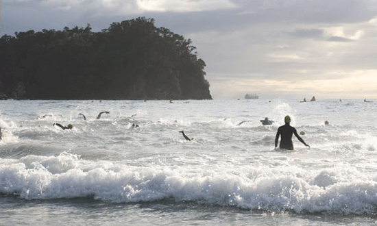 New-Zealand-Ocean-Swim-Series-The-Mount-Swim-550x330px