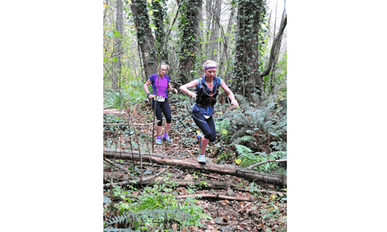 Old Forest Hanmer 100 Ultra Trail Run 550x330px