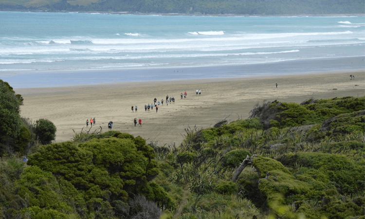 Papatowai Challenge Run Walk Otago