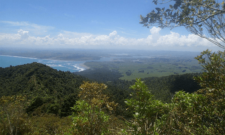 Raglan Karioi Trail 2020 Waikato Summit view