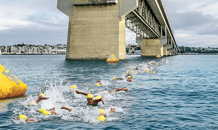 Harcourts Cooper & Co Swim the Bridge Auckland