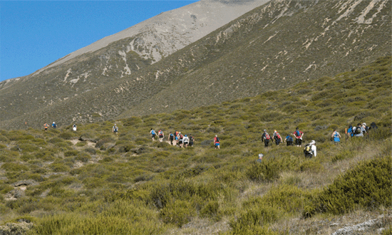 The James Great Southern Alps Miler Trail Run 160km Hanmer Springs Canterbury 550x330px