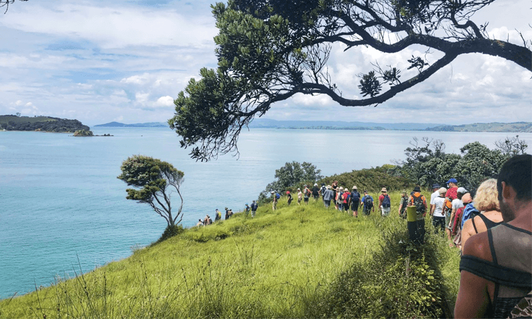 Waiheke Walking Festival Auckland 2020 Ocean vista walkers