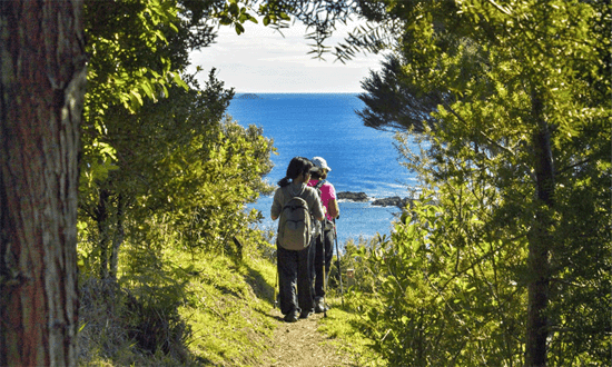 Waiheke Walking Festival Auckland 550x330px