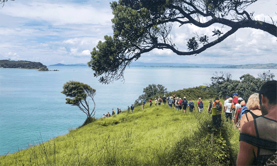 Waiheke Walking Festival Auckland Ocean vista walkers