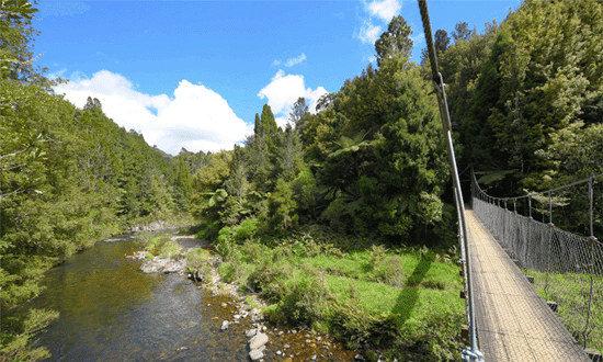 Trail Challenge Waihi 550x330px