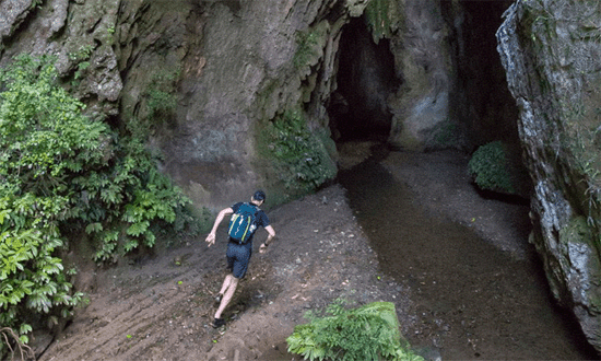 Discover Waitomo Trail Run Waitomo Caves Waikato cave 550x330px